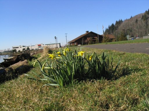 Photo of Wilson Park