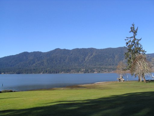 Photo Lake Quinault