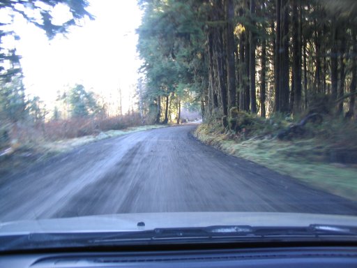 Photo Quinault Gravel Roads
