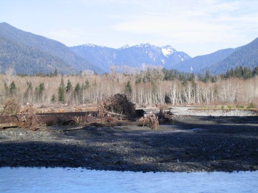 Photo Quinault Gravel Roads