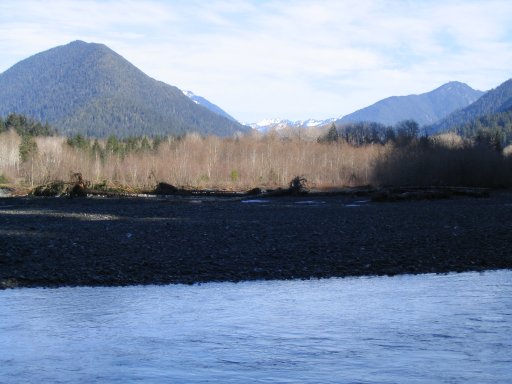 Photo Quinault Gravel Roads