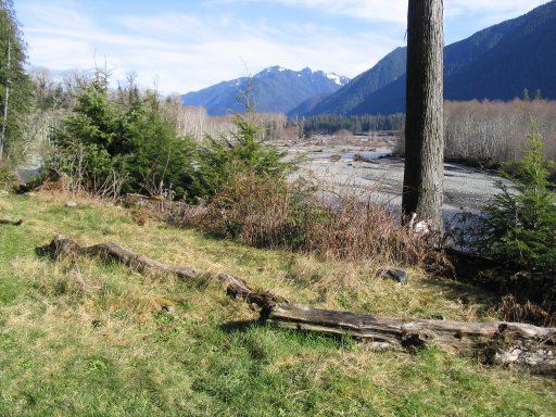 Photo Quinault Gravel Roads