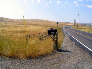 Photo James Marsh Council Idaho